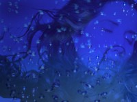 /album/photo-gallery-ljubov-i-romantika/love-and-romance-wallpapers-069-jpg/